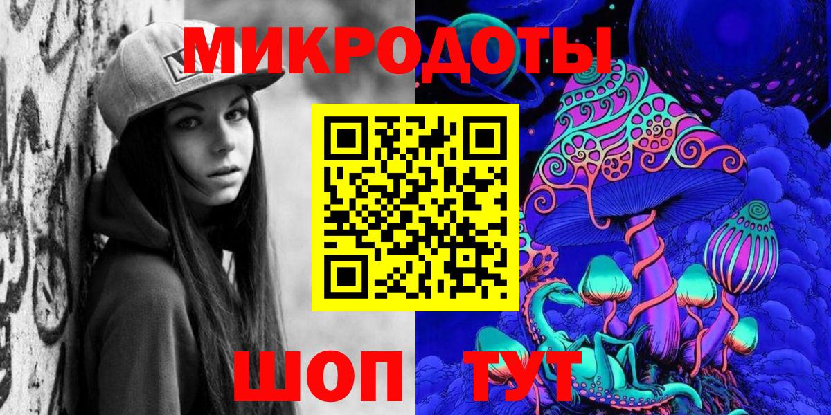 Галлюциногенные грибы Psilocybe Камышлов