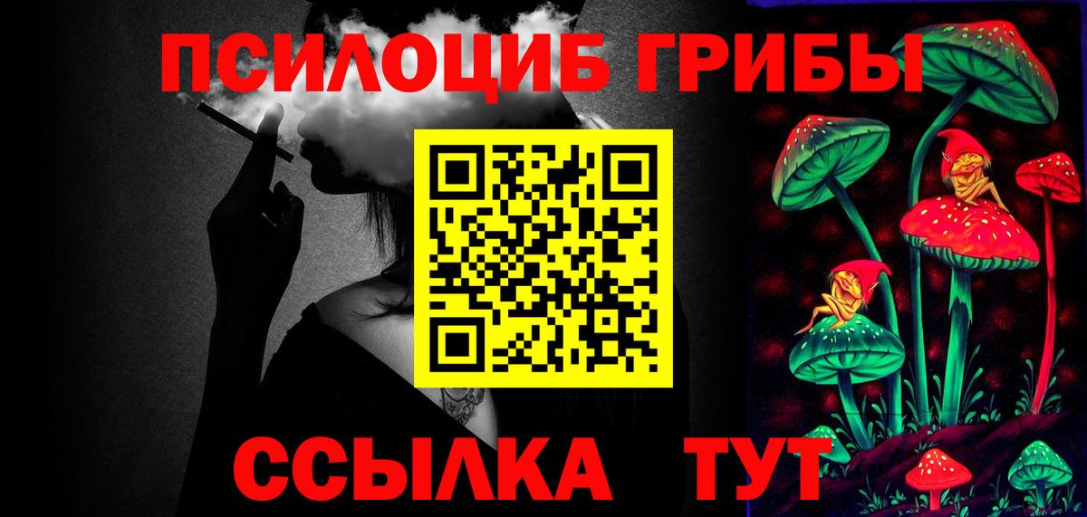 Камышлов  Псилоцибиновые грибы мицелий  Вход с VPN 