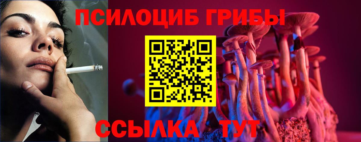 Гашиш  Меф МЯУ МЯУ  Кокаин  MDMA  Мефедрон   Вход с VPN  Камышлов  APVP СК кристаллы  Конопля 